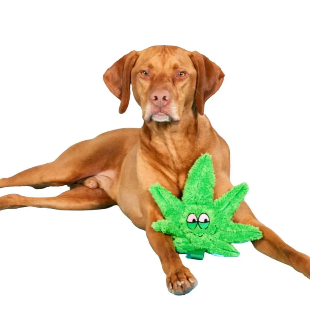 NWT Bark Box HERB Dog Toy 4/20 Bark Box Theme, M/L 30+ lbs, Green